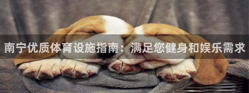 意昂体育3平台是正规平台吗：南宁优质体育设施指南：满