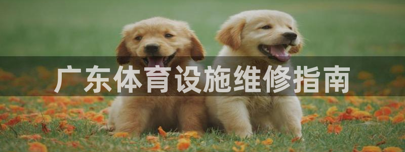 意昂体育3是干嘛的公司：广东体育设施维修指南