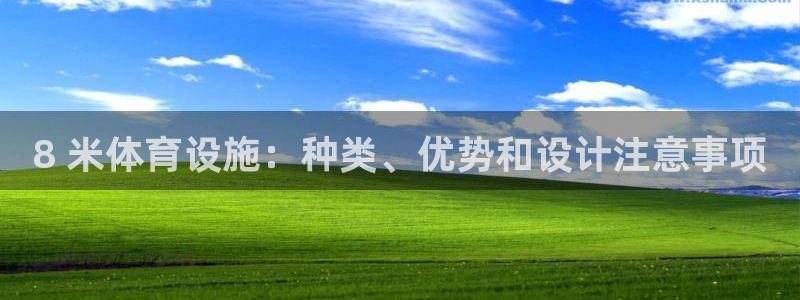 意昂3代理：8 米体育设施：种类、优势和设计注意事项