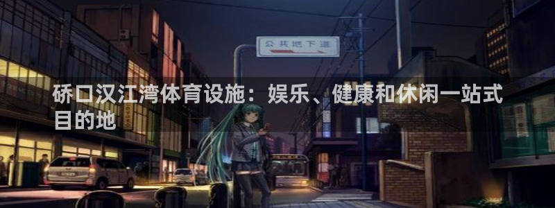 意昂体育3联系电话：硚口汉江湾体育设施：娱乐、健康和