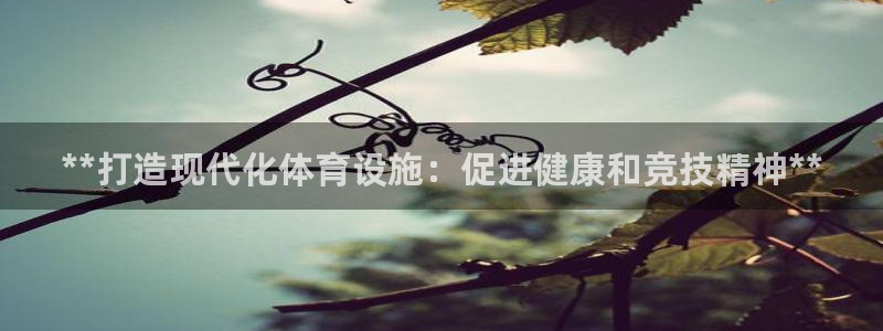 意昂体育3招商电话是多少啊：**打造现代化体育设施：