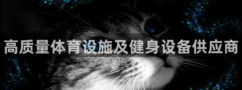意昂3娱乐网站：高质量体育设施及健身设备供应商