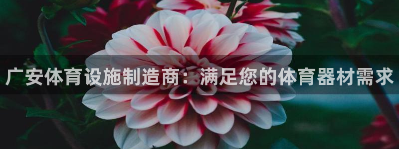 意昂集团官网