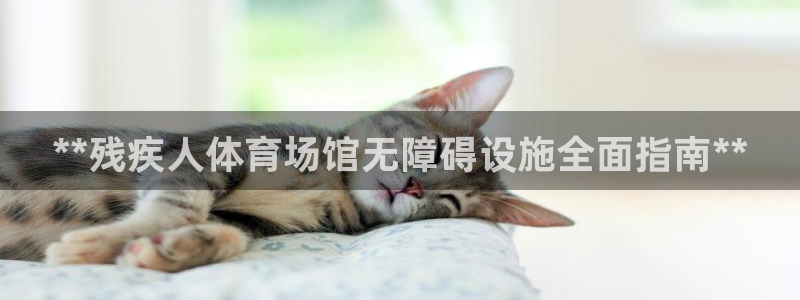 意昂3集团简介：**残疾人体育场馆无障碍设施全面指南