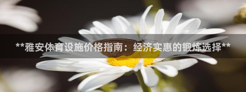意昂3神州：**雅安体育设施价格指南：经济实惠的锻炼