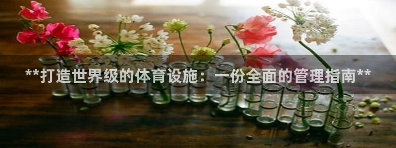 意昂3集团：**打造世界级的体育设施：一份全面的管理