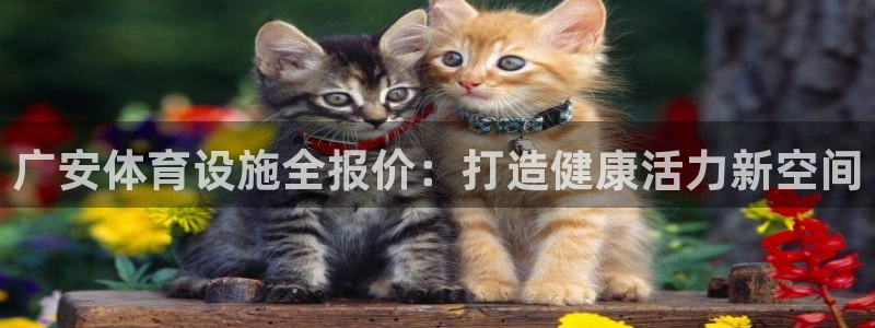 意昂体育3平台是正规平台吗：广安体育设施全报价：打造