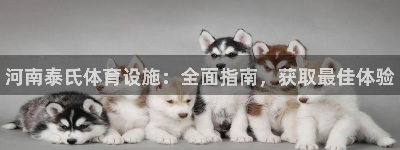 意昂体育3招商电话地址是多少：河南泰氏体育设施：全面指南，获