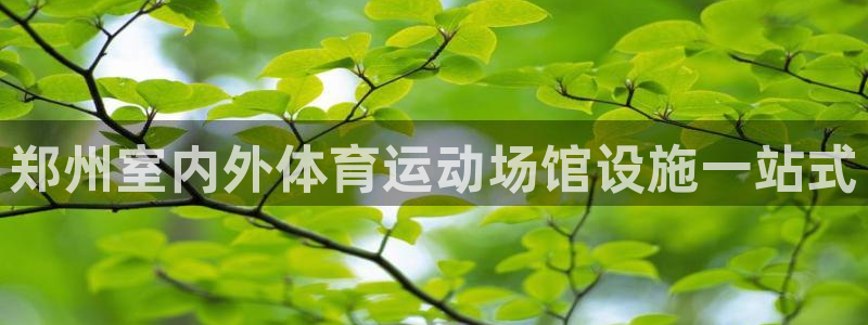 德国意昂3集团：郑州室内外体育运动场馆设施一站式