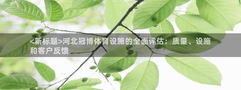 意昂体育3招商电话号码是多少号：<新标题>河北冠博体