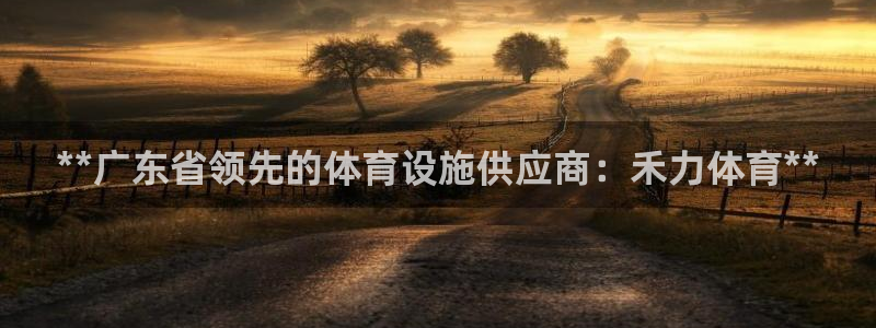 意昂3娱乐40996：**广东省领先的体育设施供应商：禾力体