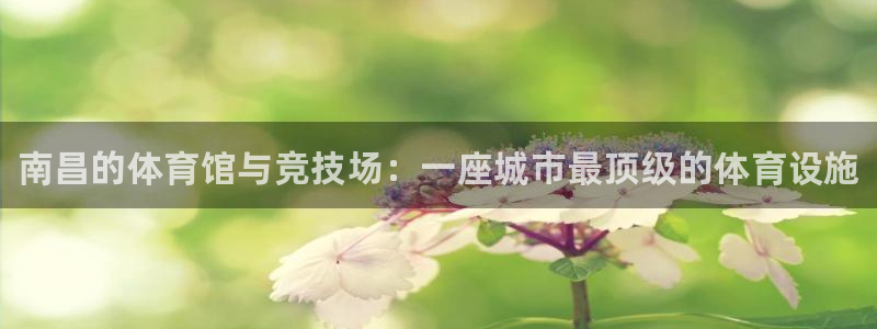 意昂3官方