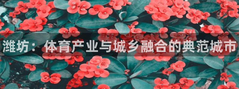 意昂体育3平台APP