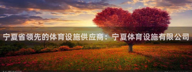 意昂体育3招商电话号码是多少号：宁夏省领先的体育设施供应商：
