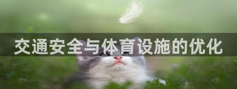 意昂3集团官网网址：交通安全与体育设施的优化