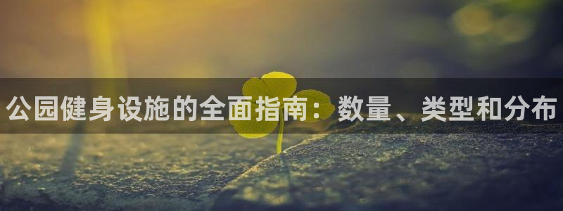 意昂3代理：公园健身设施的全面指南：数量、类型和分布