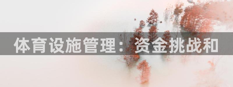 意昂3娱乐：体育设施管理：资金挑战和