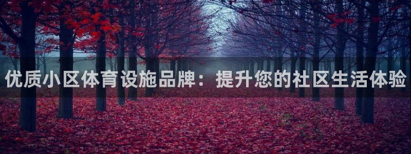 意昂3娱乐首页官网下载：优质小区体育设施品牌：提升您的社区生
