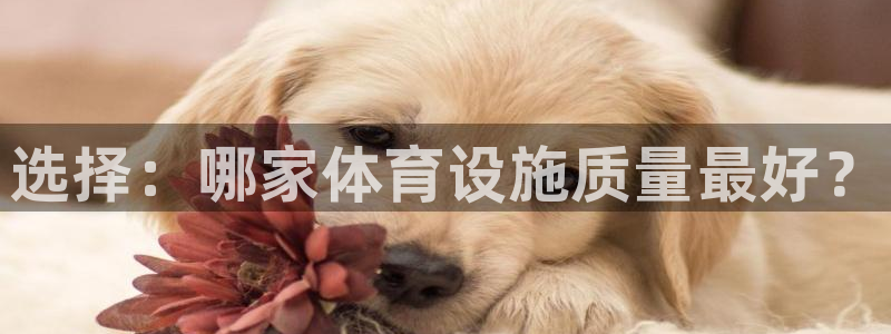 意昂体育3注册：选择：哪家体育设施质量最好？