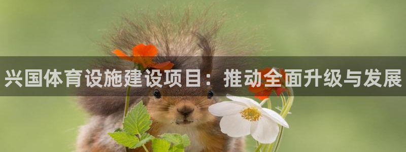 意昂体育3招商电话地址：兴国体育设施建设项目：推动全面升级与