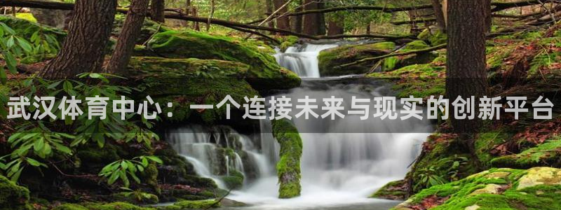 意昂3娱乐首页网站大全