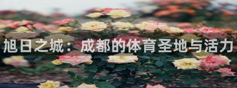 意昂体育3平台注册流程视频：旭日之城：成都的体育圣地与活力