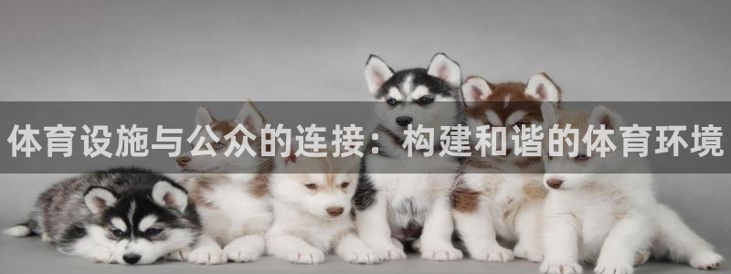 意昂体育3招商电话地址：体育设施与公众的连接：构建和谐的体育 