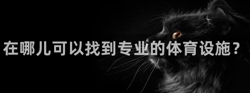 意昂3娱乐首页官网下载：在哪儿可以找到专业的体育设施？