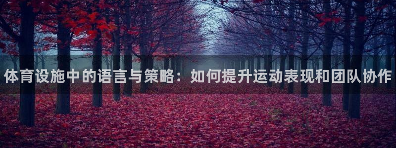 意昂3集团E.ON：体育设施中的语言与策略：如何提升运动表现