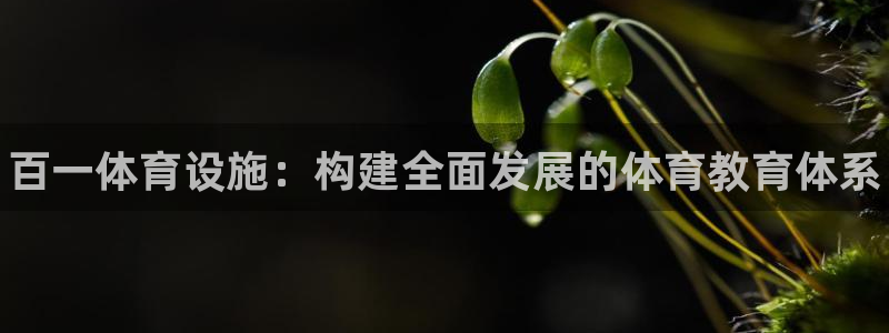 意昂3集团logo：百一体育设施：构建全面发展的体育教育体系